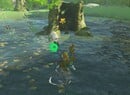 Zelda: Tears Of The Kingdom: Central Hyrule Korok Seeds